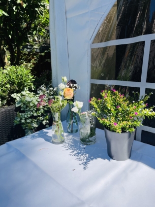 Neugestaltung Garten